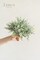 Artificial Plants Eucalyptus Leaves Branches,18Pcs 15" Tall Fake Greenery Filler Decor w/Stems, Realistic Texture Flocked Plants for Wedding Bouquets/Table Centerpieces, Room/Office 14.96"D x 3.35"W x 3.35"H
